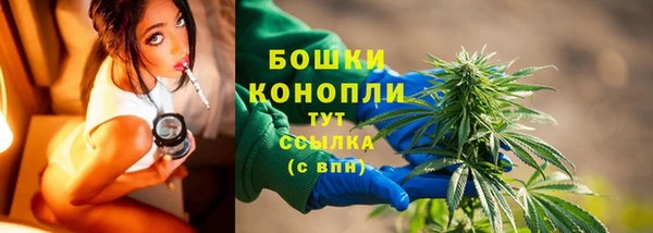 спиды Пестово
