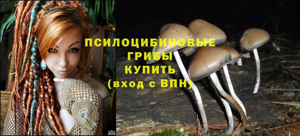 таблы Переславль-Залесский