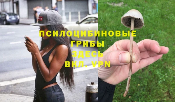 спиды Пестово