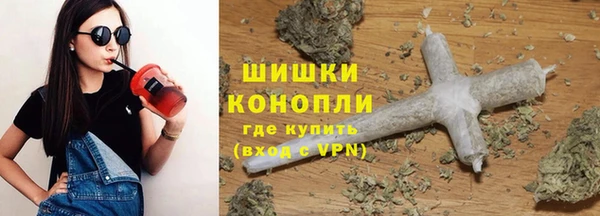 спиды Пестово