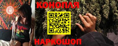 сатива Бийск