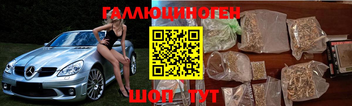 Галлюциногенные грибы Magic Shrooms  Псилоцибиновые грибы GOLDEN TEACHER  Усть-Лабинск 