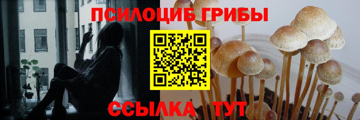 Галлюциногенные грибы мицелий Усть-Лабинск